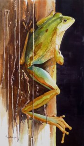 Striving for Great Heights, frog painting in watercolour for the SAVE Art Exhibition in Perth 2014