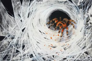 identity thief, tarantula, orange and black tarantula, hacked, identity, thief, spider, spider painting, tarantula painting