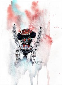 Beethoven, peacock spider, maratus cristatus, peacock spider painting, watercolour spider, watercolor spider, watercolour peacock spider, watercolor peacock spider,