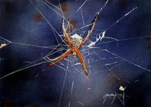 orb, orb spider, orb spider in web, spider web, cobweb, smiling orb spider, spider art, spider artist