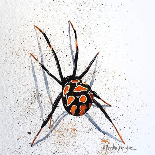 spider, spider art, spider painting, red widow spider, red widow, red and black spider, spider art, watercolor spider