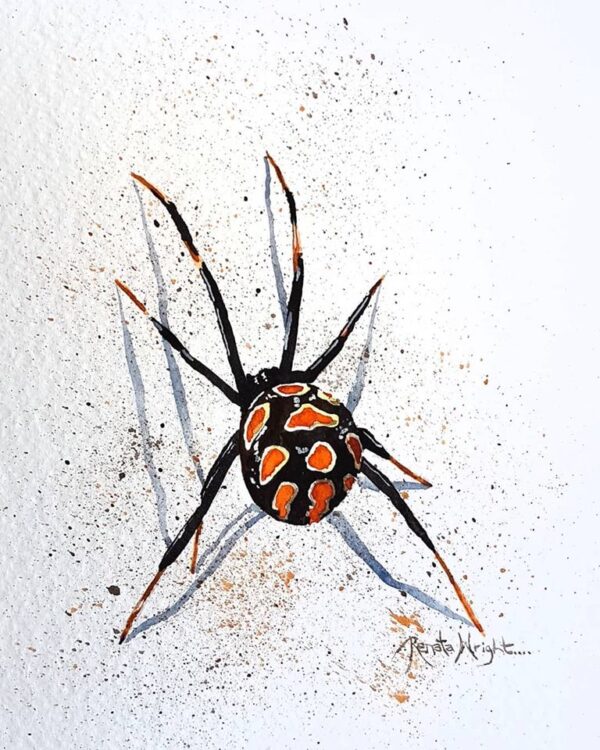 spider, spider art, spider painting, red widow spider, red widow, red and black spider, spider art, watercolor spider