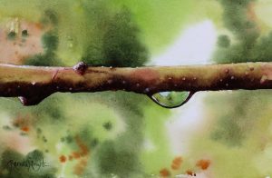 droplet, water droplet, water droplet painting, droplet painting, garden painting