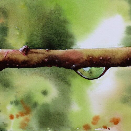 droplet, water droplet, water droplet painting, droplet painting, garden painting