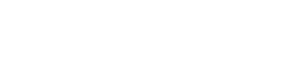 light logo