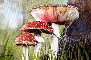 mushrooms, mushroom painting, mushrooms and spider web, spider web, spider web painting, spider web with spider, web and spider, web spider mushrooms, watercolour painting, watercolor painting, watercolor artist,