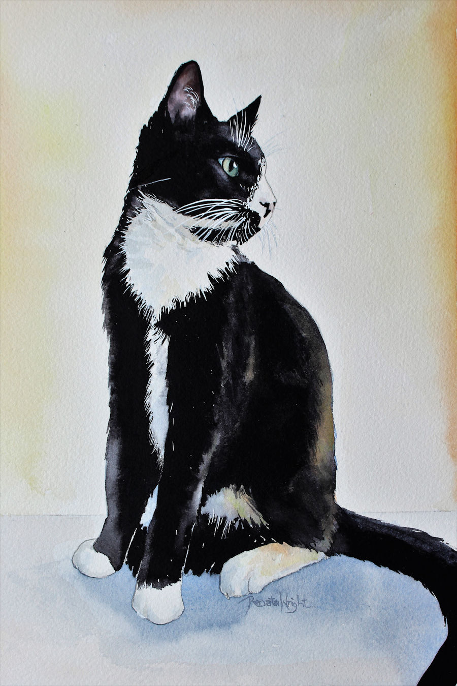Black And White Cat Renata Wright Art Perth Wa