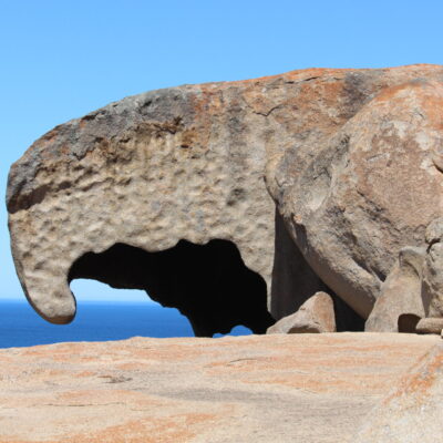 Kangaroo Island (12) Kangaroo Island (12)