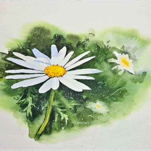 Watercolour Daisy