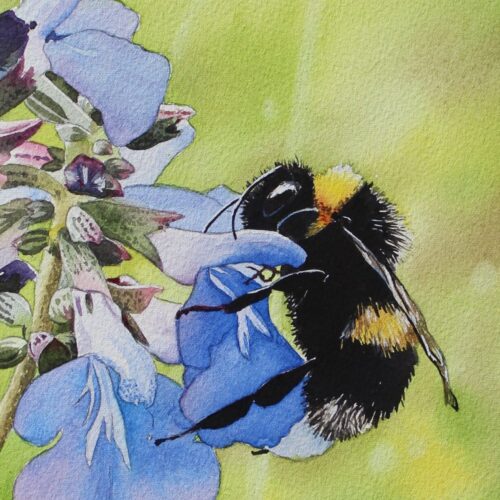 Bumblebee in Watercolour