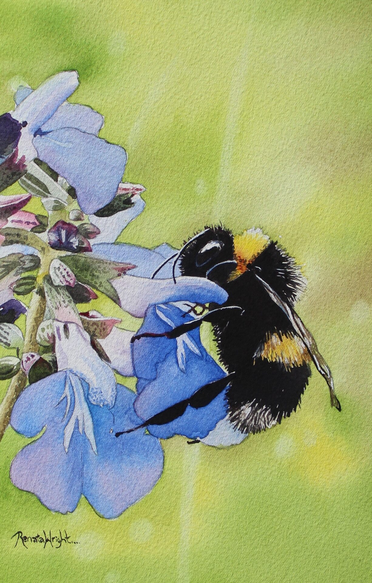 Bumblebee in Watercolour